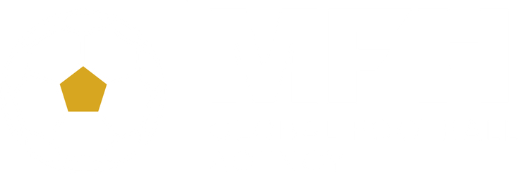 MFH Global Football Agency
